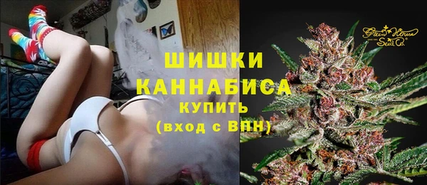 молекула духа Балахна