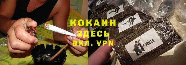 сатива Баксан