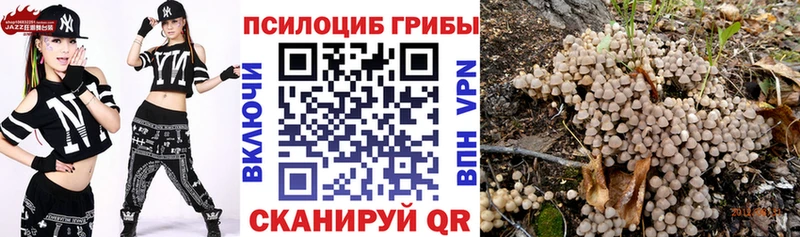 Псилоцибиновые грибы прущие грибы  hydra сайт  Шагонар 